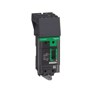 Interruptor de caja moldeada, 2 polos, 100 A. BDA261001 Schneider Electric