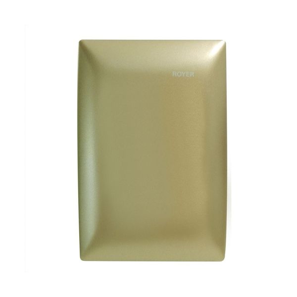 Placa ciega con soporte, champagne. 100-6206CH Royer